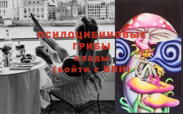 кокаин премиум Дмитровск
