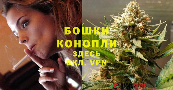 стафф Дмитров