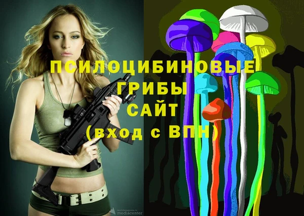 mdpv Дмитриев