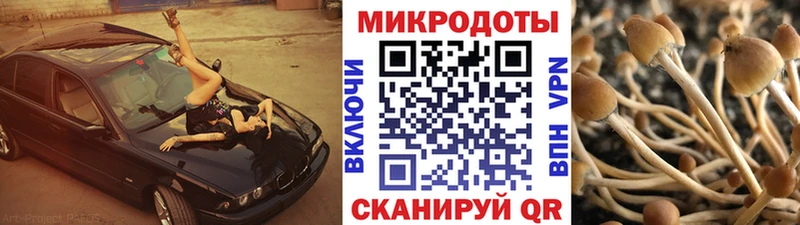 Галлюциногенные грибы мухоморы  Купить закладки  Новопавловск 